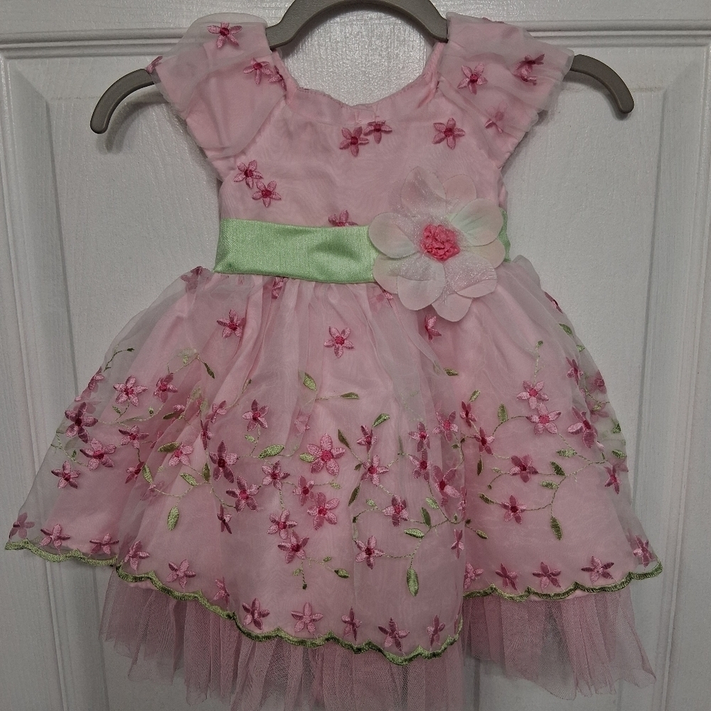 Jona Michelle Pink Floral Baby Dress with Green Accents Size 6mo. 20